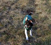 Enlarge photo 11