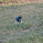 Enlarge photo 13