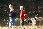 Enlarge photo 6