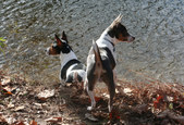 Enlarge photo 4