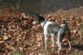 Enlarge photo 3