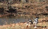 Enlarge photo 2