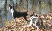 Enlarge photo 16