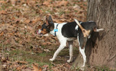 Enlarge photo 14