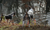 Enlarge photo 19