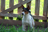 Enlarge photo 12