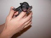 Enlarge photo 2