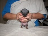 Enlarge photo 5