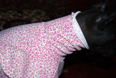 Enlarge photo 9