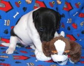 Rosie Loner 4 and 5 Weeks