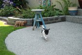 Enlarge photo 24