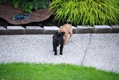 Enlarge photo 12