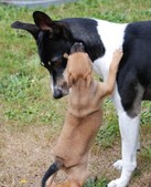 Enlarge photo 14