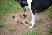 Enlarge photo 15