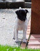 Enlarge photo 16