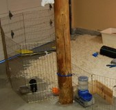 Enlarge photo 24