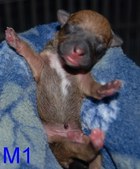 Enlarge photo 12