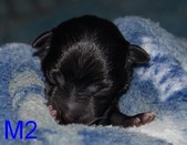 Enlarge photo 15