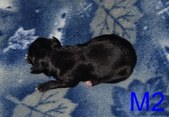 Enlarge photo 17