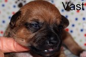Enlarge photo 11