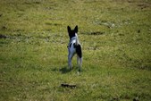Enlarge photo 24
