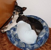 Enlarge photo 8