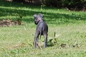 Enlarge photo 18
