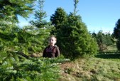 Enlarge photo 16
