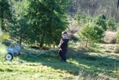 Enlarge photo 12