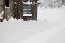Enlarge photo 2