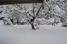 Enlarge photo 3