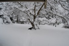 Enlarge photo 5