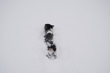 Enlarge photo 7