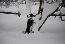Enlarge photo 14