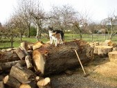 Enlarge photo 16