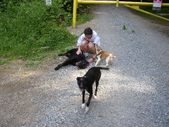 Enlarge photo 3