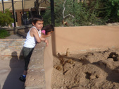 Enlarge photo 14