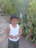 Enlarge photo 16