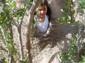 Enlarge photo 17