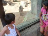 Enlarge photo 21