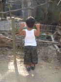 Enlarge photo 24