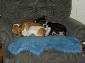Enlarge photo 14