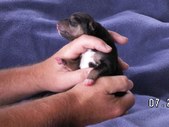 Enlarge photo 6