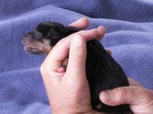 Enlarge photo 9