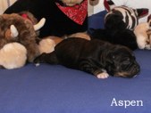 Enlarge photo 2