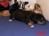 Enlarge photo 8