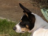 Enlarge photo 12