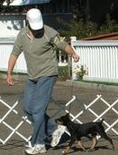 Enlarge photo 5
