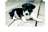Enlarge photo 7