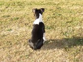 Enlarge photo 11